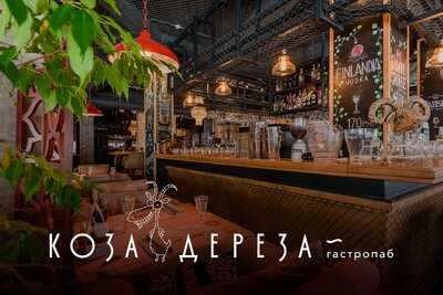 Коза Дереза Славная