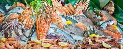 Fish Me