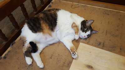 Депозитарий