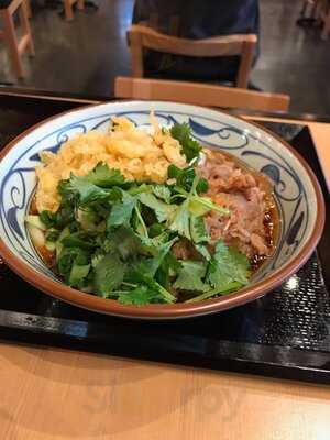 Marugame Udon, Berkeley