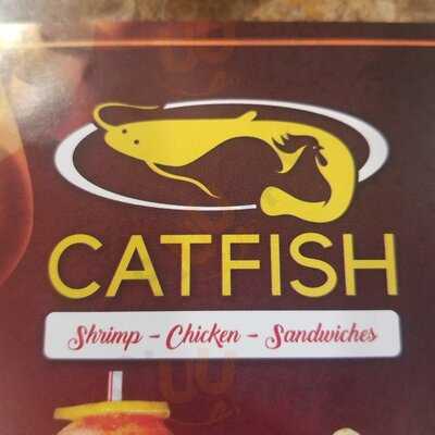 Catfish - Chicken, Sandwich, Gyros & More, Crest Hill