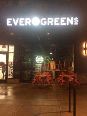 Evergreens