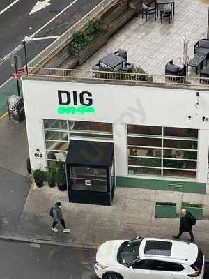 Dig On 4th, New York City