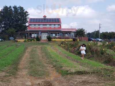 Honeywood Farms, Barnesville