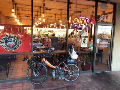 Noodles & Dumplings, El Paso