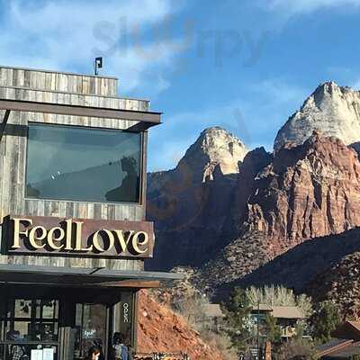 Feellove Coffee, Springdale