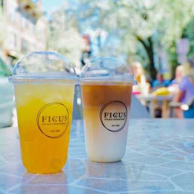 Ficus Cafe