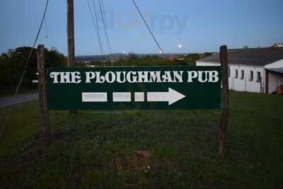 The Ploughman