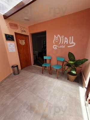 Miau Café