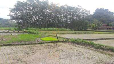 Waroeng Tengkleng Pastenan