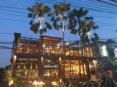 Jackson Lily's