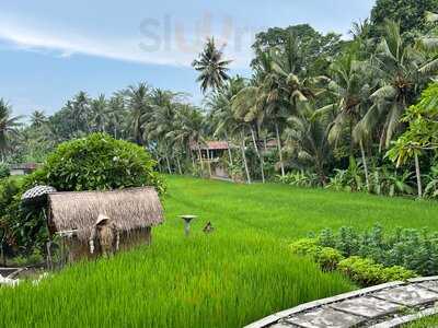 Terracotta Restaurant Ubud