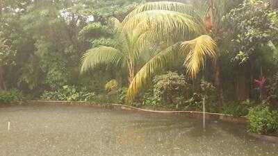 Bale Bengong Seafood Resto