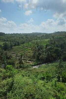 Pondok Indah Banyuwangi