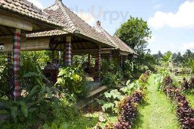 Pangkon Bali (rumah Makan & Agrowisata)