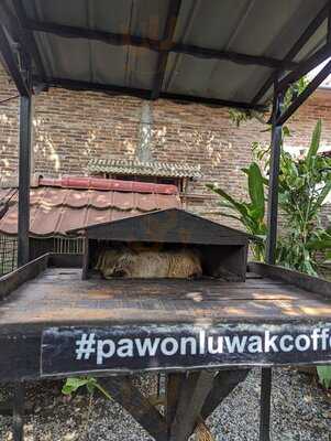 Pawon Luwak Coffee