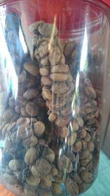 Soulthan Coffee Kopi Luwak & 52 Kopi Nusantara menu