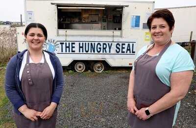 Rathlin Island The Hungry Seal