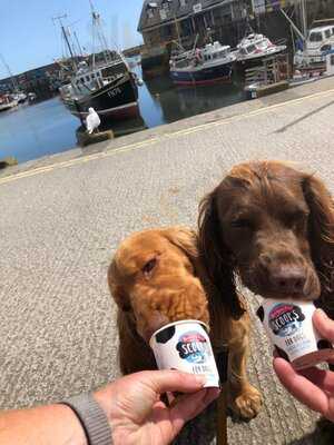 Harbourside - Kelly's Cornish Ice Cream