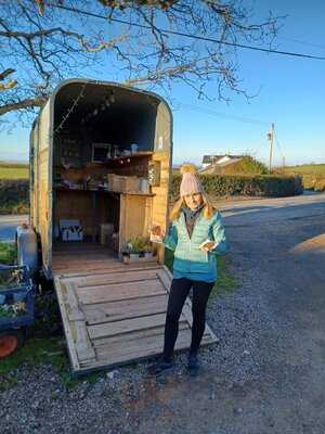 The Little Honesty Stall, Kilve