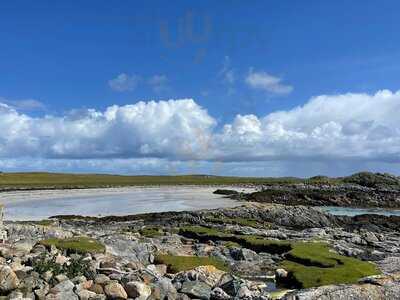 Tiree Crab Company