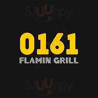 0161 Flaming Grill