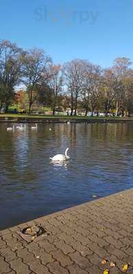 Evesham Rowing Club