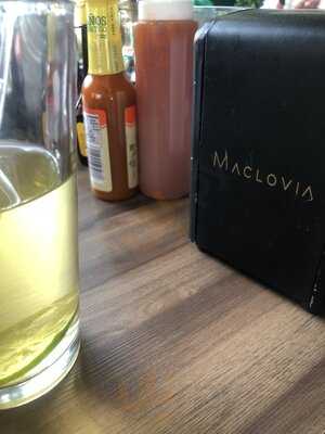 Maclovia