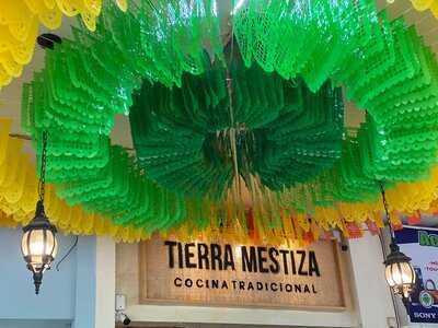 Tierra Mestiza