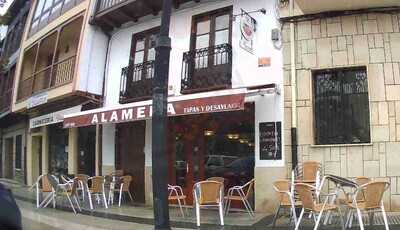 Bar Alameda