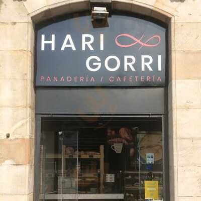 Hari Gorri