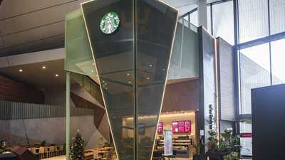 Starbucks Garbera