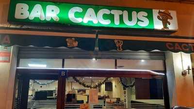 Bar Cactus