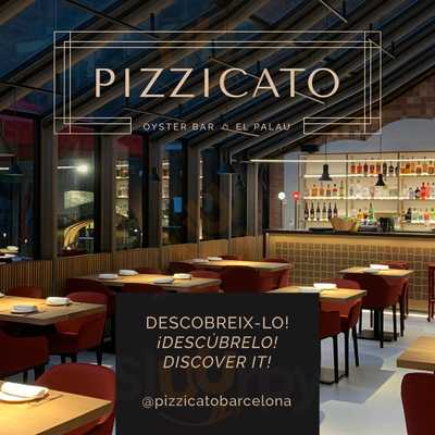 Pizzicato Barcelona