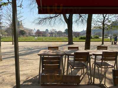 Petit Plisson Aux Tuileries