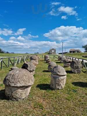 Etnos, Tarquinia