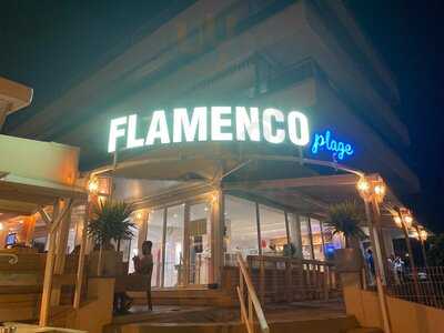 Flamenco Plage