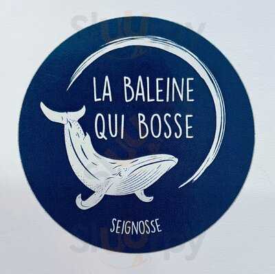 La Baleine Qui Bosse, Seignosse