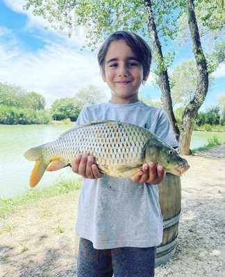 Domaine Des Étangs En Camargue