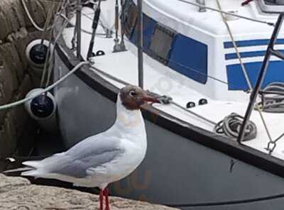 Pesket Fish & Chips, Douarnenez