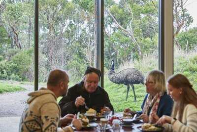 Emu Cafe @ Wildlife Wonders