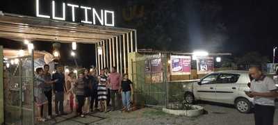 Lutino Cafe