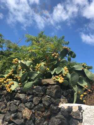 Tipico Pantesco, Pantelleria