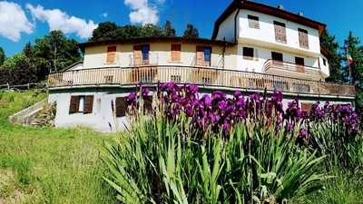 Rifugio Campiglio