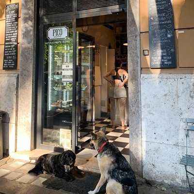 Pico Gelato, Roma