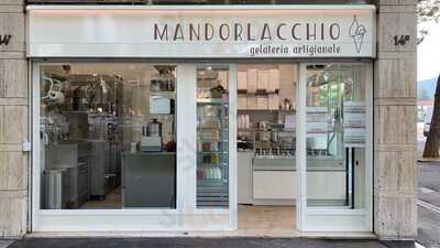 Mandorlacchio Gelateria Artigianale, Bergamo