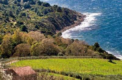 Azienda Agricola San Giovanni, Santa Maria di Castellabate