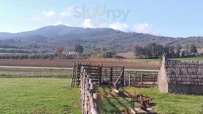 Azienda Agricola Badia Vecchia