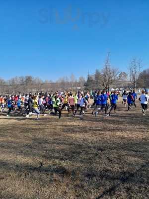 Teamarathon, Torino