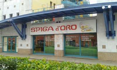 Spiga d’Oro, Treviso